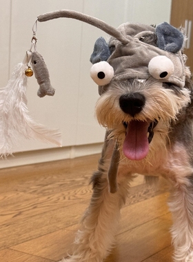 狗狗帽子中小型犬雪纳瑞猫咪灰色小鱼逗猫帽自嗨解闷神器宠物用品