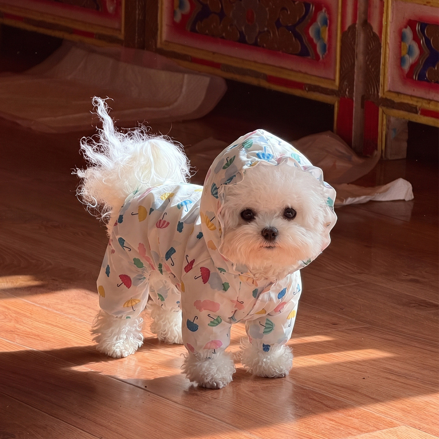 【可爱狗狗四脚雨衣！防水防脏】图片