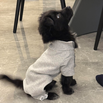 【萌宠OOTD】狗狗四脚衣2025新款