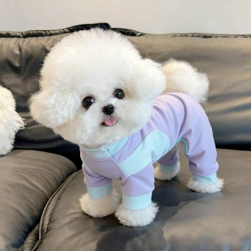 【萌宠OOTD】冰丝防晒背心