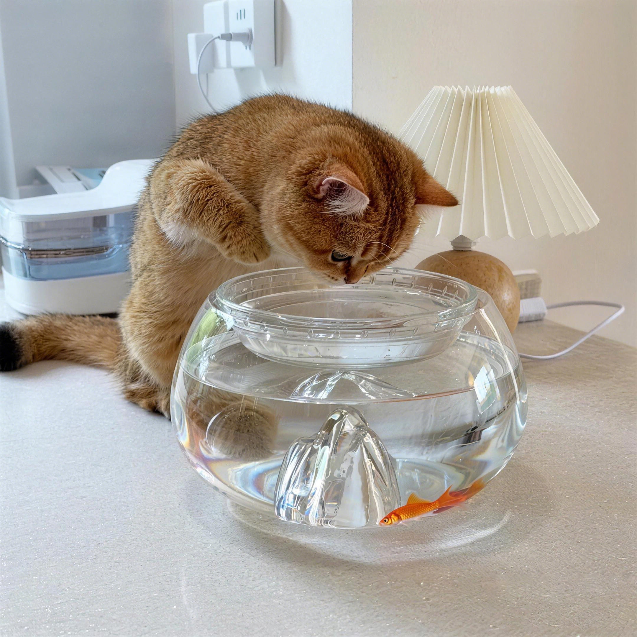 猫碗大口径猫咪骗水神器鱼缸双层水碗不黑下巴猫食盆护颈防打翻