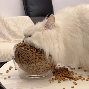 斜口猫碗玻璃狗碗不易打翻大口径喝水猫粮猫罐头猫食盆狗盆慢食碗