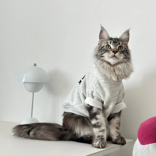 宠物小猫咪衣服秋冬卫衣公猫帅气狗狗衣服小型犬比熊泰迪两脚衣