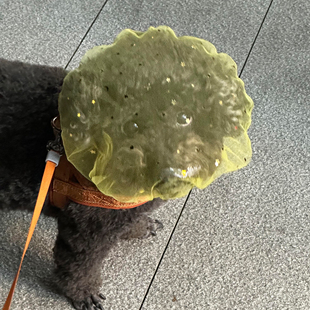 狗嘴套防乱吃网套外出防误食头纱透气舒适防舔面罩宠物防偷吃头套