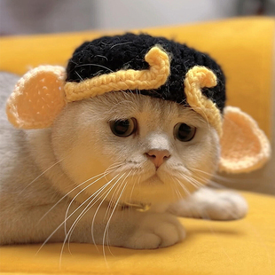 猫咪猪八戒头套可爱编织宠物变装 帽子中小型犬狗狗头饰拍照道具