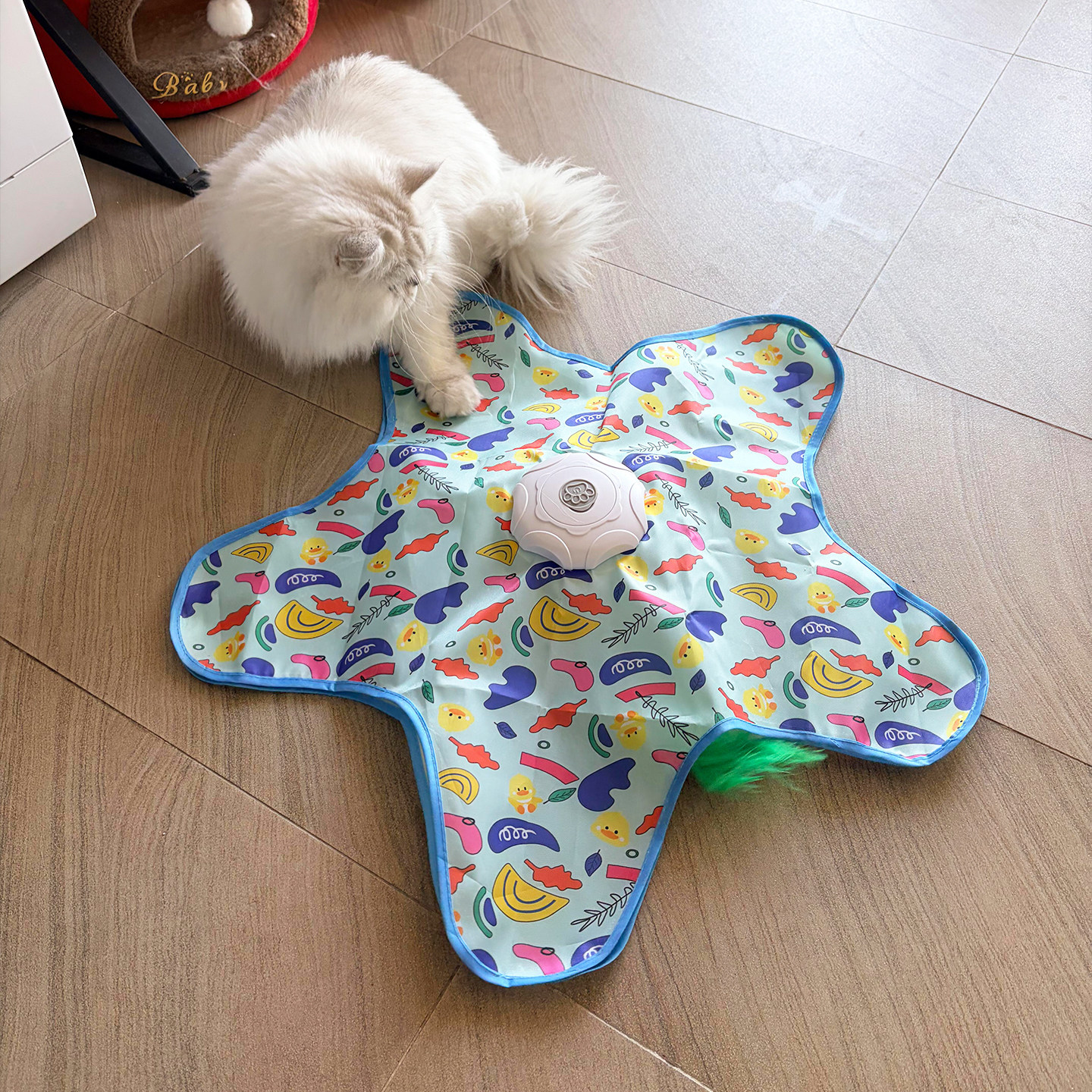 智能猫猫玩具！满足猫咪好奇心！