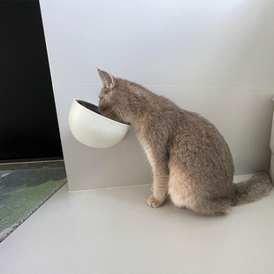 宠物猫碗可上墙悬挂壁式不锈钢猫食盆狗碗防打翻磁吸喝水粮碗用品