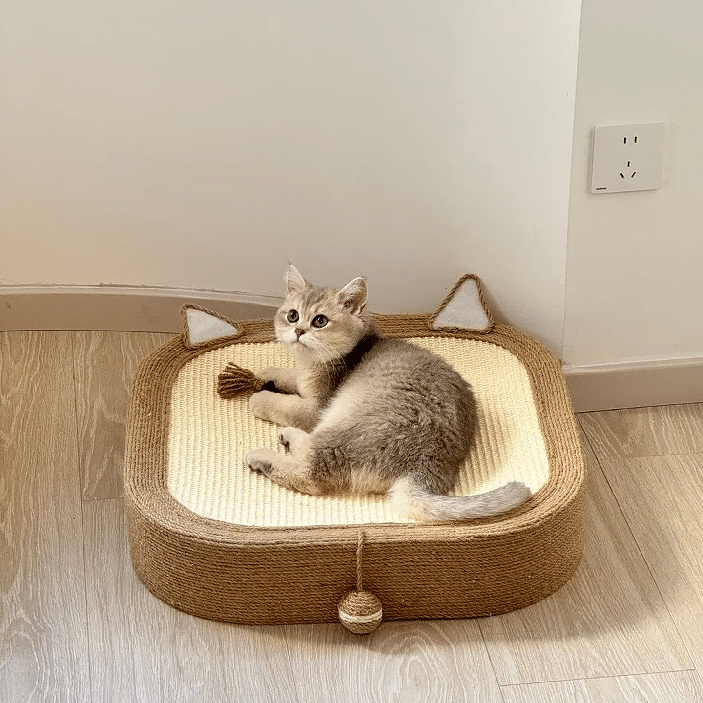 新手养猫好物！猫抓板猫窝一体