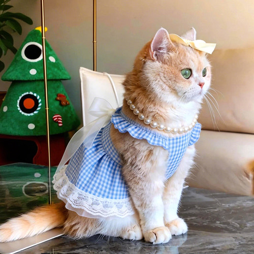 【萌宠OOTD】夏季猫咪可爱仙女裙