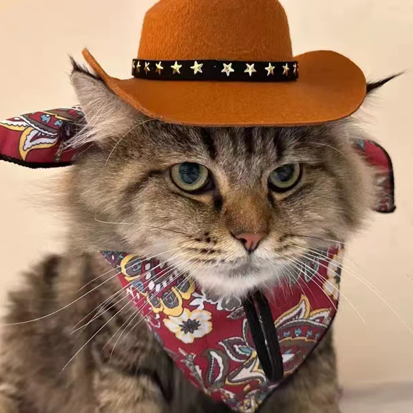 可爱宠物帽子cosplay猫咪装饰帽宠物饰品狗狗西部牛仔帽拍照配饰