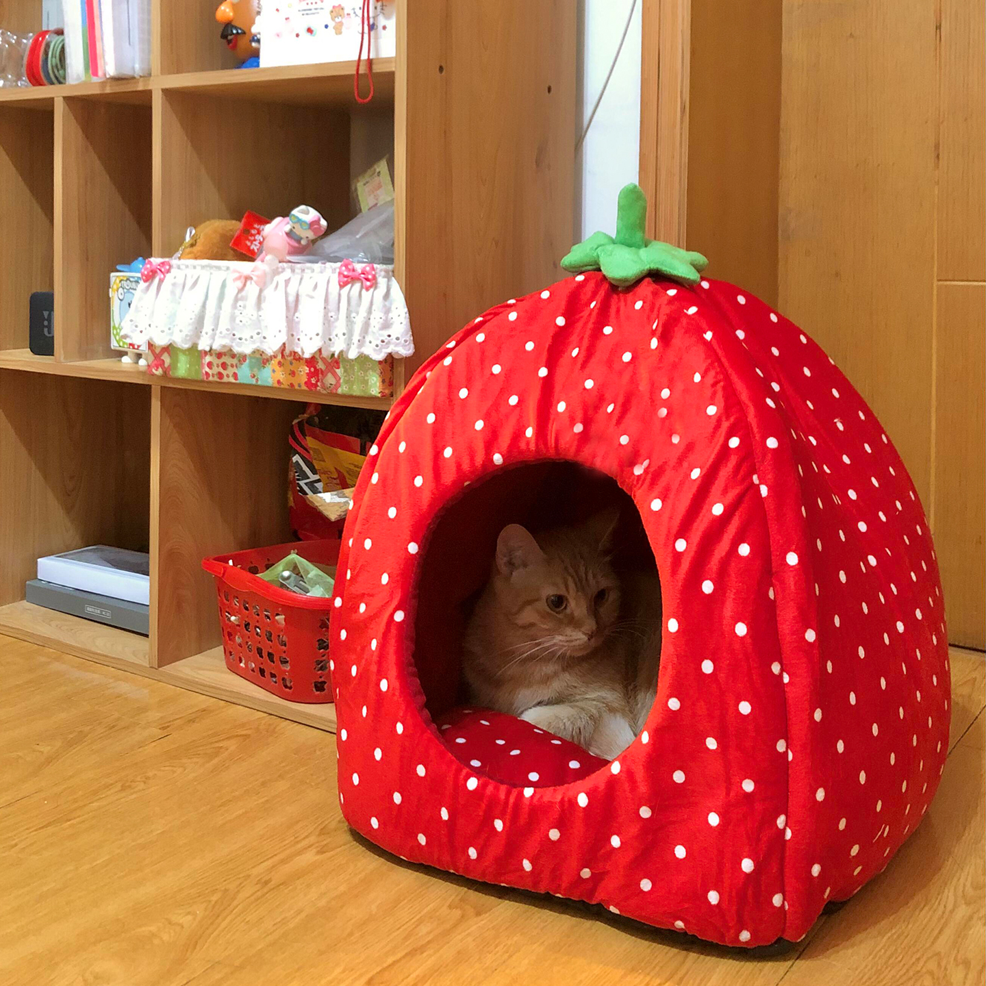 【萌宠过冬好物】草莓猫窝小狗窝