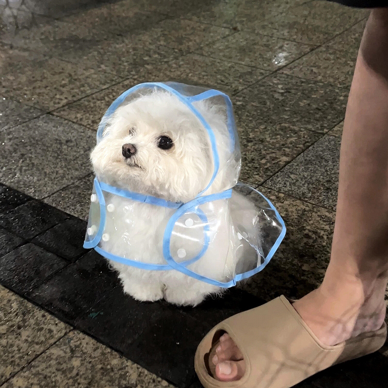 狗狗雨衣防水斗篷透明宠物衣服