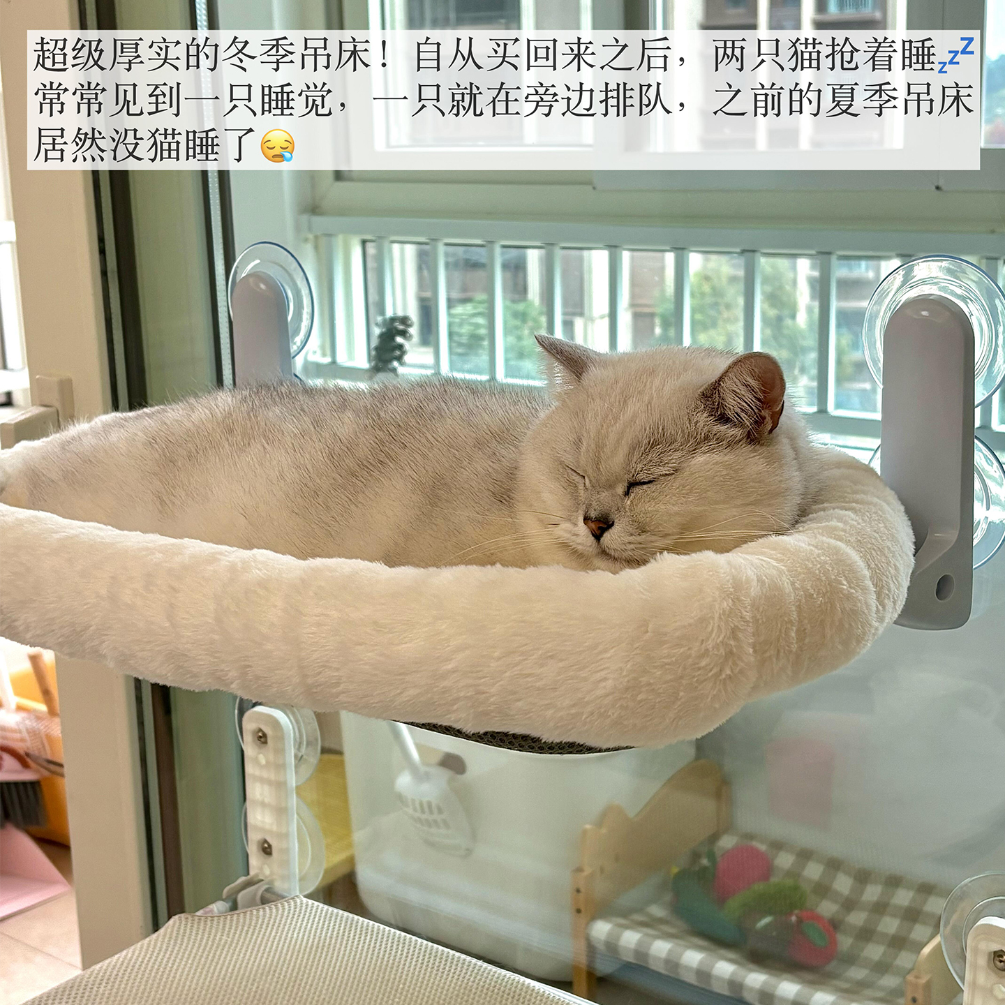 阳台养猫神器！吸盘猫吊床可折叠