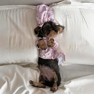 狗狗睡衣小型犬星星图案睡袍薄款高颜值猫咪家居服带帽子2026新款