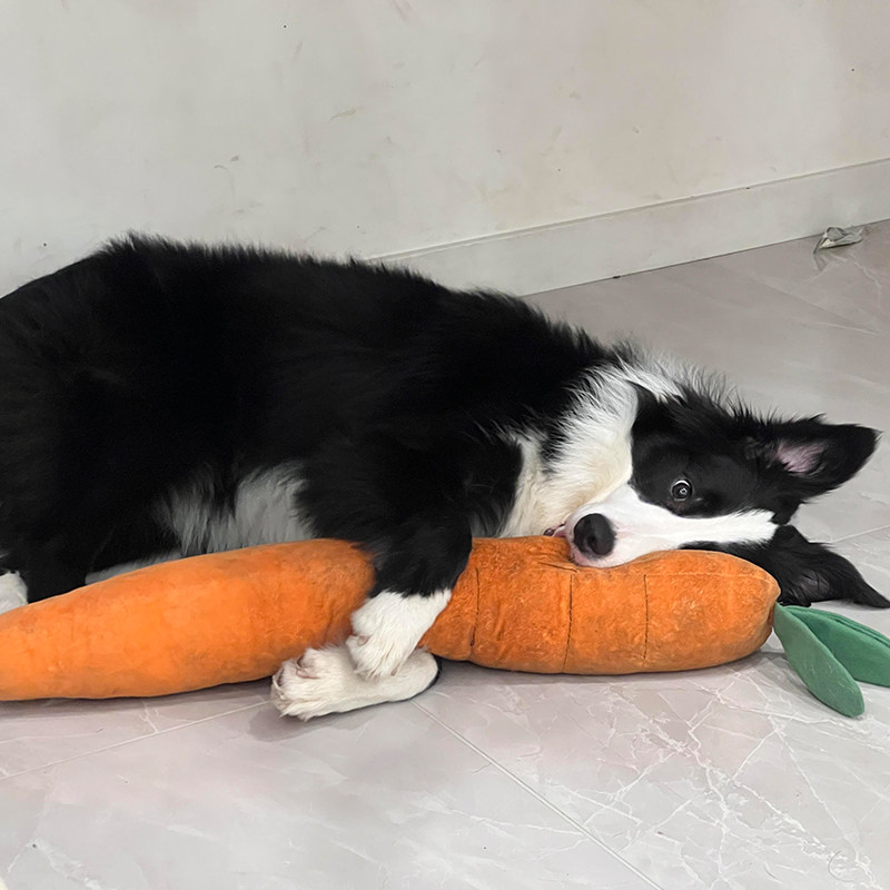 胡萝卜耐咬狗狗玩具自嗨解闷神器