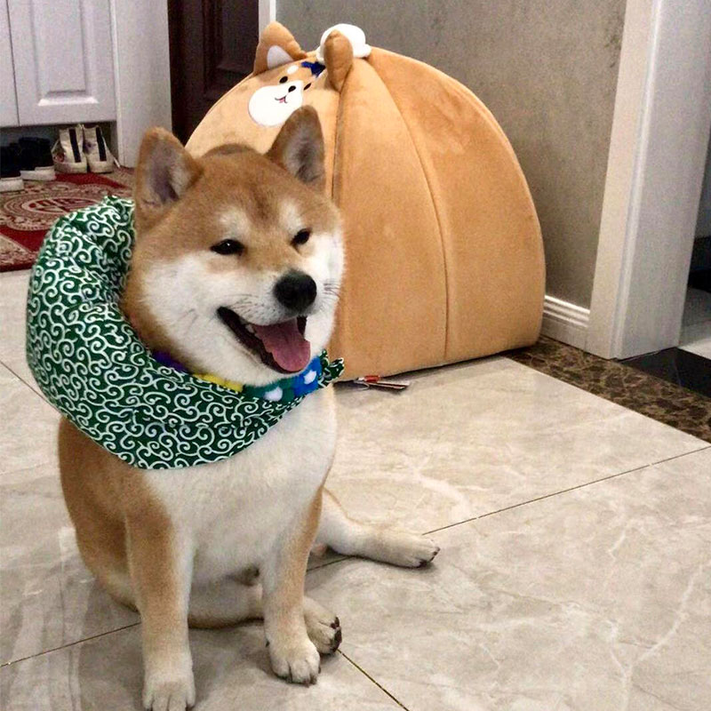 柴犬离家出走小包袱狗狗项圈衣服围脖装饰猫咪睡觉枕头宠物用品