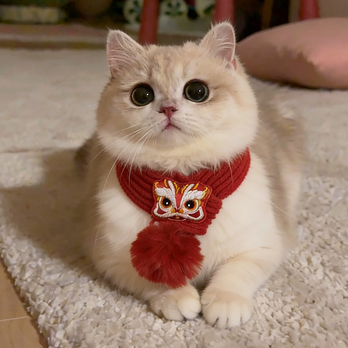 宠物猫咪围脖新年装扮狗狗围巾口水巾冬季保暖脖圈小配饰2026新款,宠物/宠物食品及用品,围巾/口水巾,淘宝优惠券,粉丝福利购,淘宝优惠卷