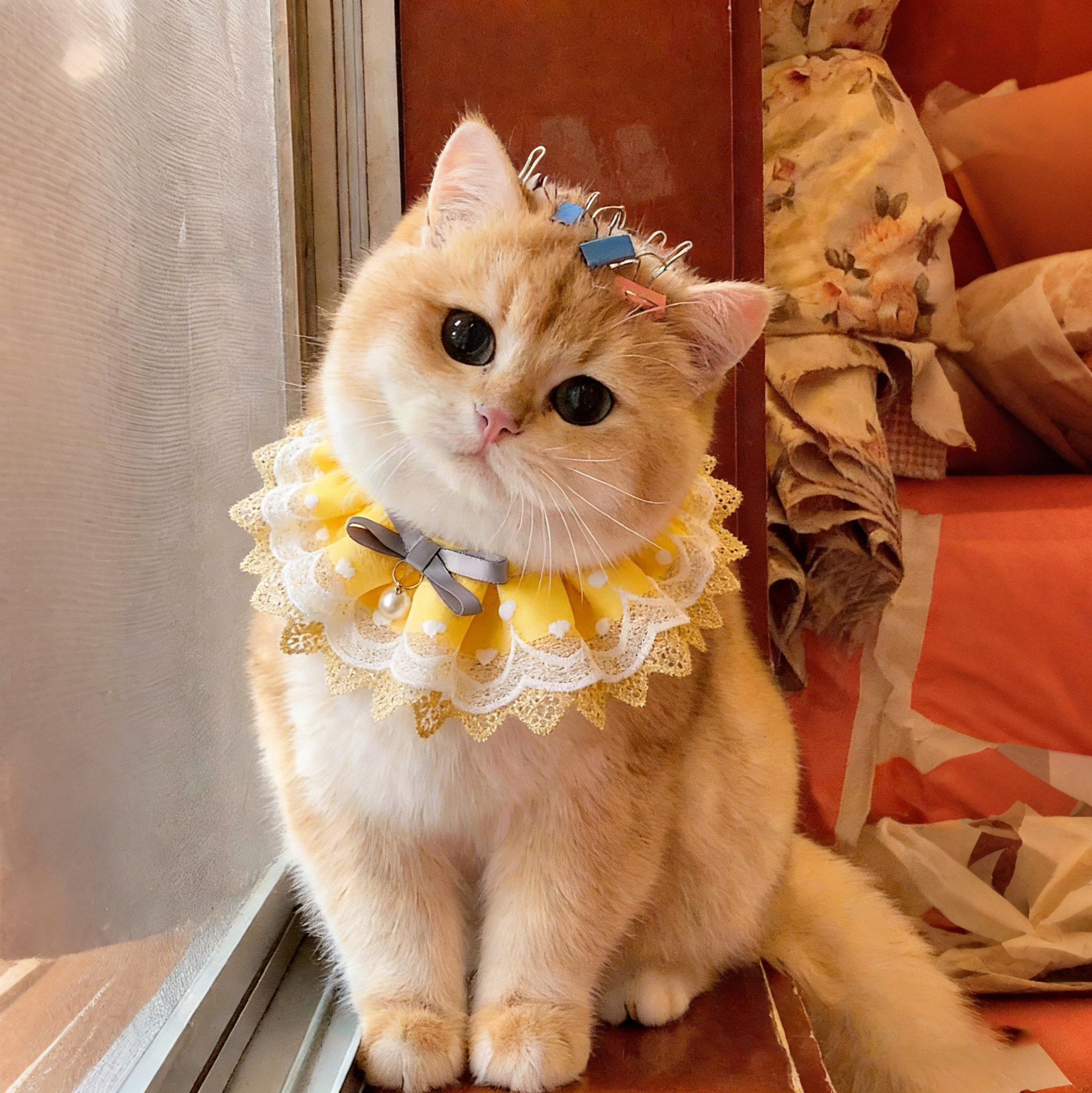 猫咪围脖宠物口水巾可爱狗狗围兜蕾丝花边围巾蝴蝶结项圈甜美配饰