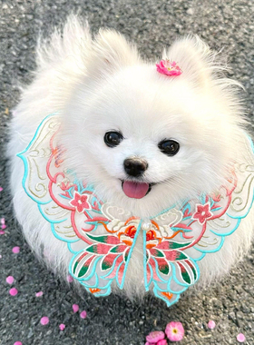 蓝色莲花宠物云肩狗狗口水巾猫咪中国风流苏刺绣围兜小型犬博美