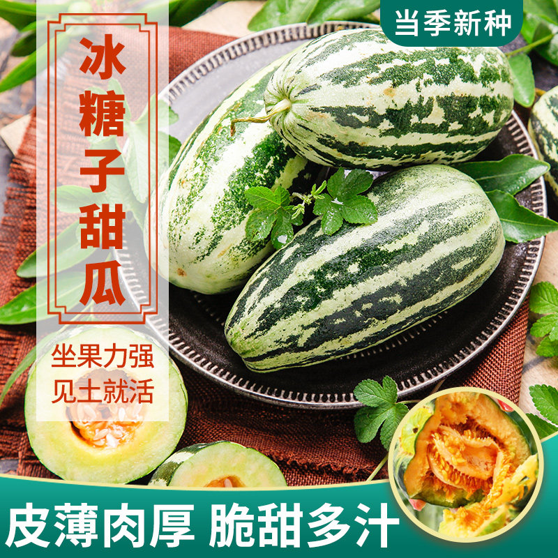超甜冰糖甜瓜种子香瓜种籽花皮黄心酥瓜籽薄皮蜜瓜籽羊角蜜瓜种孑