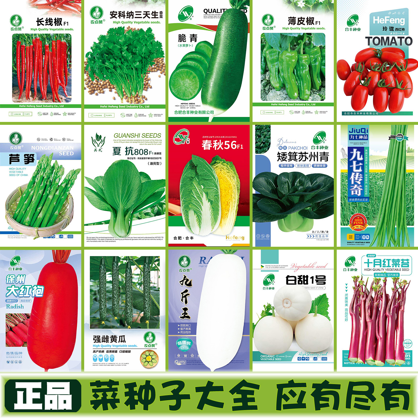 [菜种子大全]百种蔬菜任你选择！