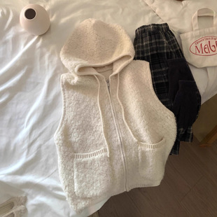 韩系高级感圈圈绒连帽拉链毛衣马甲开衫女宽松秋冬季加厚叠穿背心