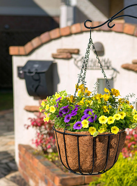 Takasho欧式栽培吊篮家用花卉绿植花盆挂篮铁艺垂吊 PQA-01