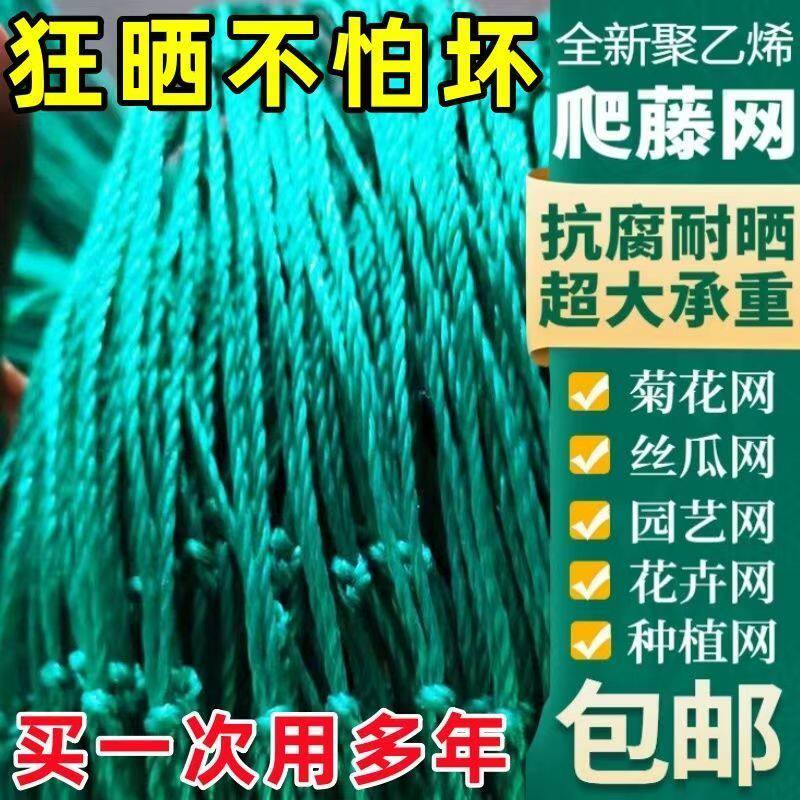爬藤网植物攀爬网黄瓜冬瓜吊瓜丝瓜葡萄网搭架抗氧化花卉攀援网