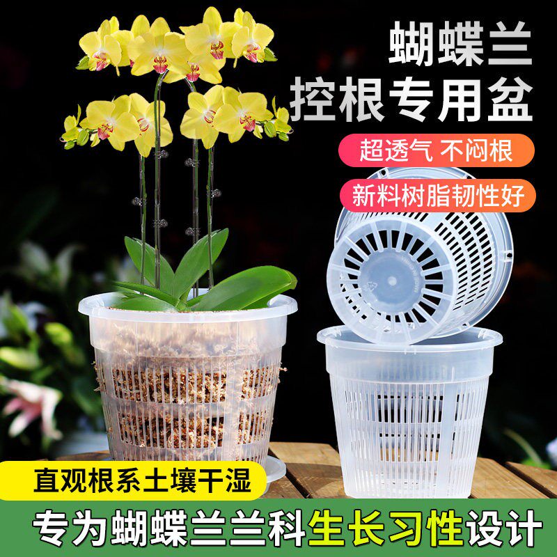 立减5元透气蝴蝶兰专用控根花盆