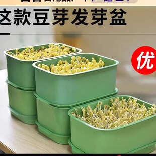 豆芽发芽盆神器豆芽罐子家用生豆芽机无公害发豆芽桶黄豆绿豆芽盒