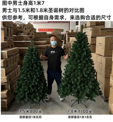 促阻燃出口圣诞树15米18米21m24m2米1加密2米4裸树2米7大型3米新