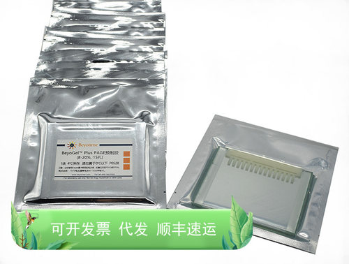 BeyoGel™ Plus PAGE预制胶(Hepes, 8-20%, 15孔) P0528 碧云天