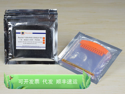 BeyoGel?? SDS-PAGE预制胶(Tris-Gly, 8-16%, 12孔) 碧云天生物
