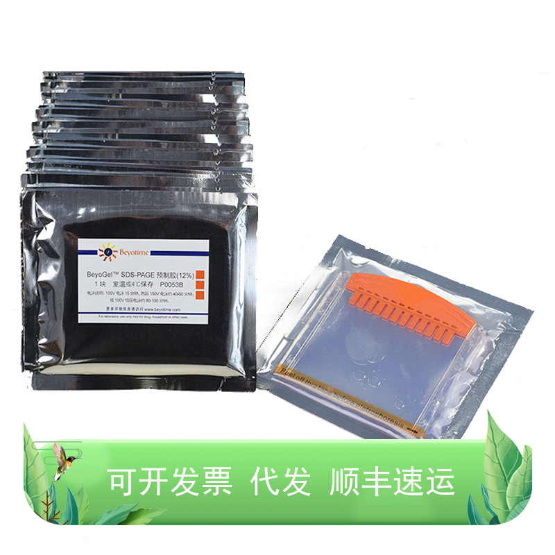 BeyoGel™ SDS-PAGE预制胶(Tris-Gly, 15%, 12孔)