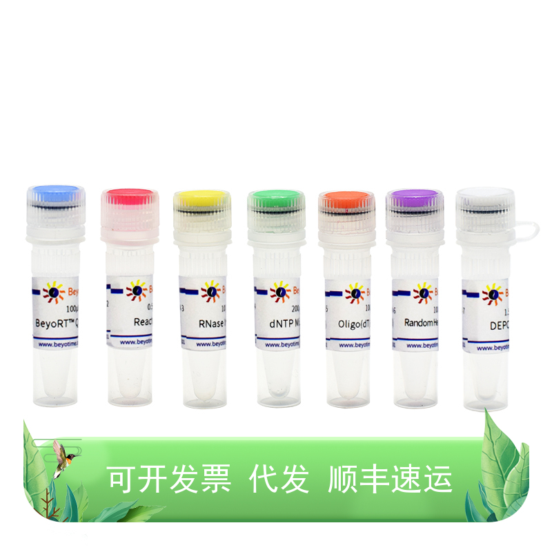 BeyoRT™ Q cDNA第一链合成试剂盒