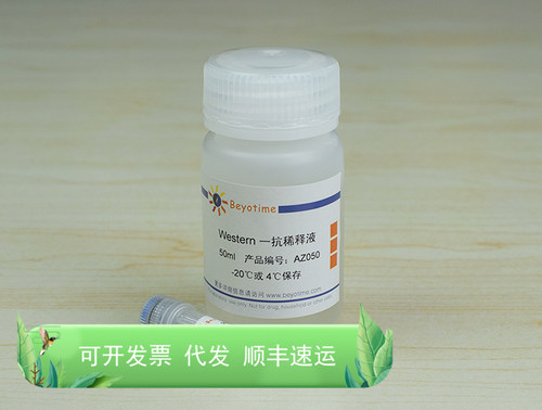 FGFR2/CD332 Mouse Monoclonal Antibody 生物 Beyotime