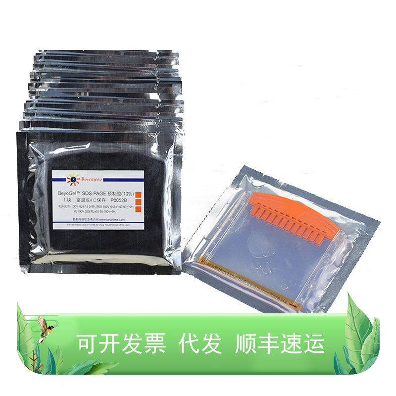 BeyoGel™ SDS-PAGE预制胶(Tris-Gly, 10%, 12孔)