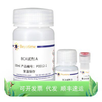 P0012 BCA蛋白浓度测定试剂盒 500次