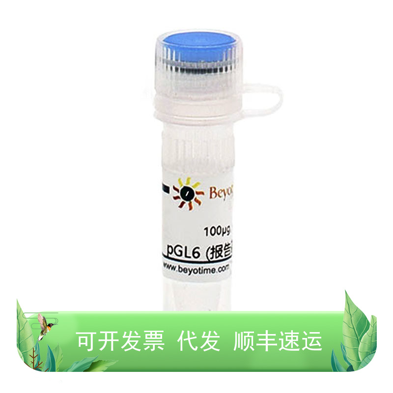D2102-100μg，pGL6 (报告基因质粒)，碧云天