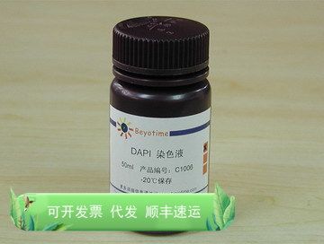 DAPI染色液 C1006 碧云天生物 Beyotime