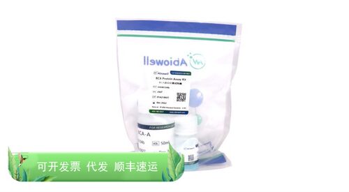 AWB0104b BCA蛋白定量试剂盒 250T