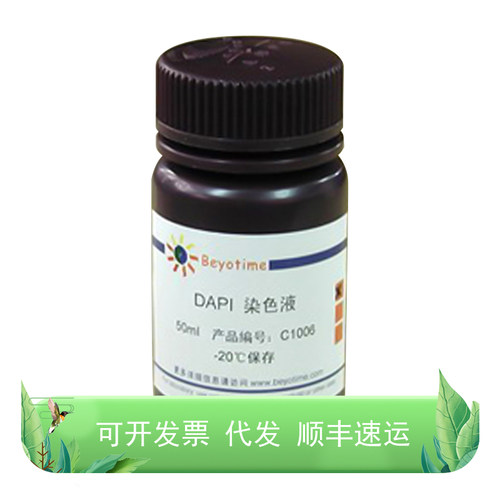DAPI染色液碧云天国产
