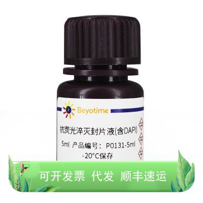 抗荧光淬灭封片液(含DAPI)