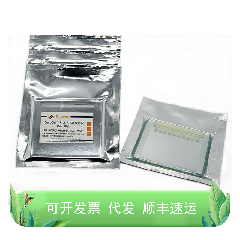BeyoGel™ Plus PAGE预制胶(Hepes, 6%, 10孔)