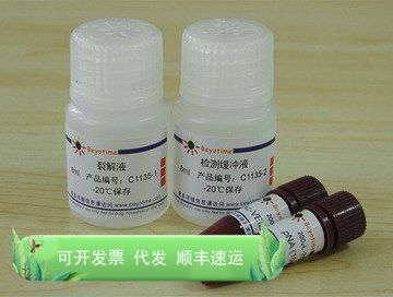 Caspase 6 活性检测试剂盒 C1135  Beyotime