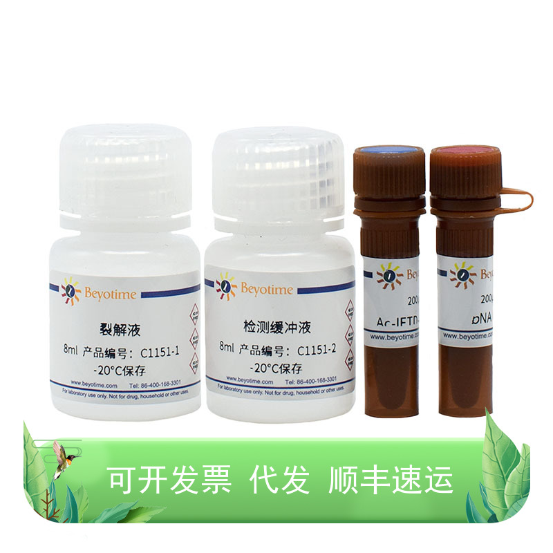Caspase 8 活性检测试剂盒
