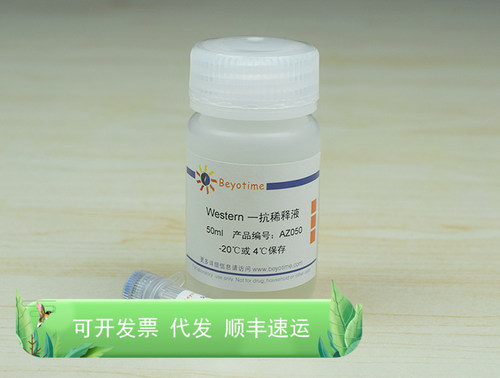 Vimentin Mouse Monoclonal Antibody AF0318碧云天生物 Beyotime