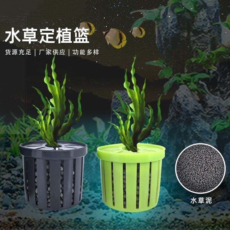 鱼缸水培植物篮家用水草种植水草泥沉底固定器种植造景装饰定植篮