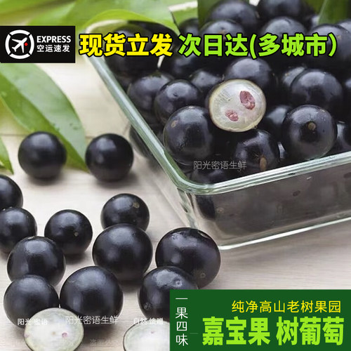 现货新鲜嘉宝果立发不预售