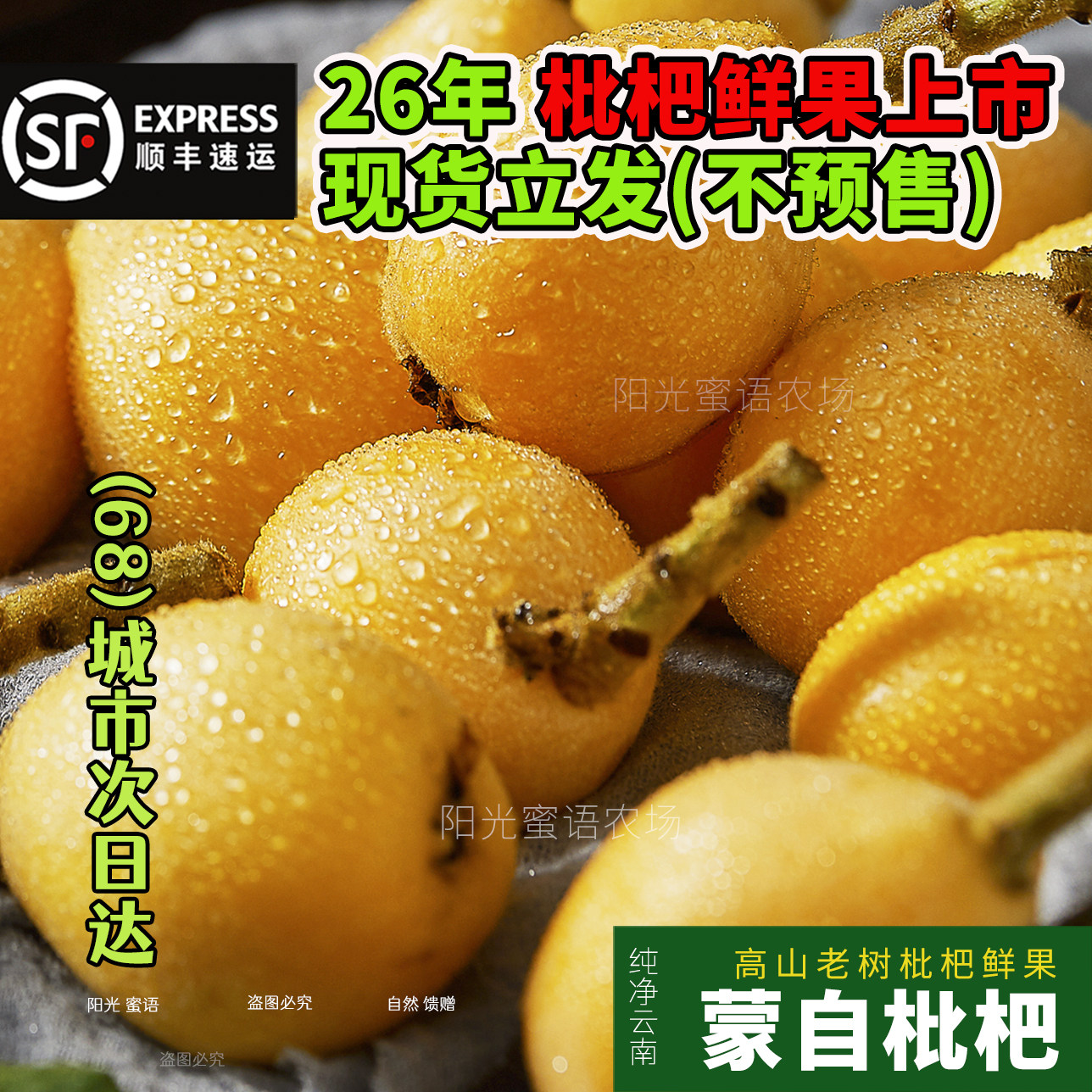 顺丰【现货】蒙自高山枇杷老树新鲜鲜果水果孕妇小孩琵琶当季现摘